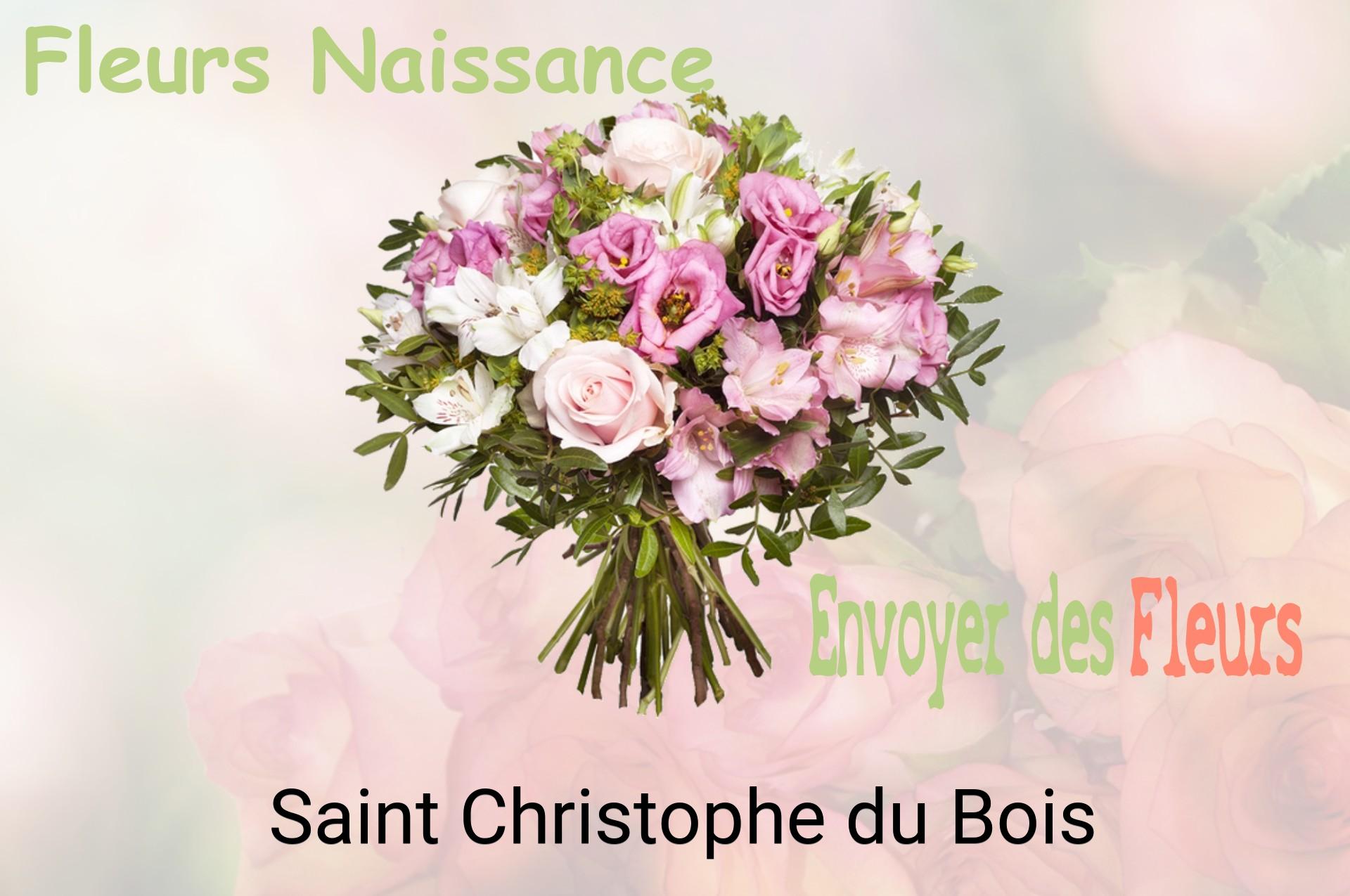 Bouquet de fleurs de naissance livré à Saint-Christophe-du-Bois