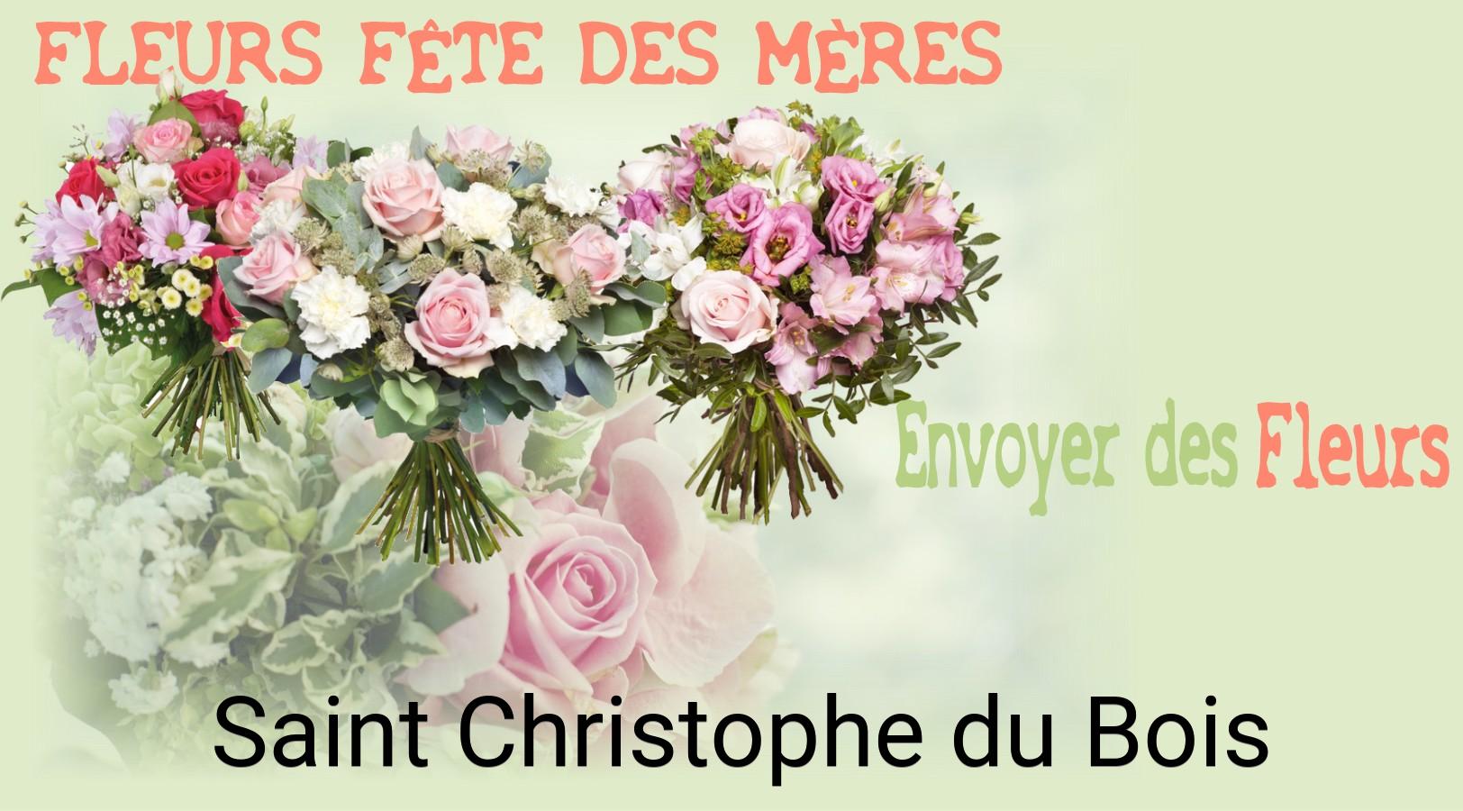 Bouquet de Fête des Mères livré à Saint-Christophe-du-Bois
